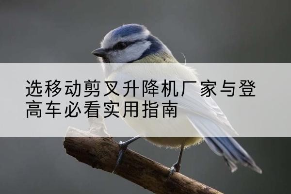 明溪电动升降机厂家-选移动剪叉升降机厂家与登高车必看实用指南