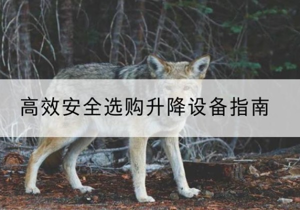 明溪升降货梯厂家推荐-*安全选购升降设备指南