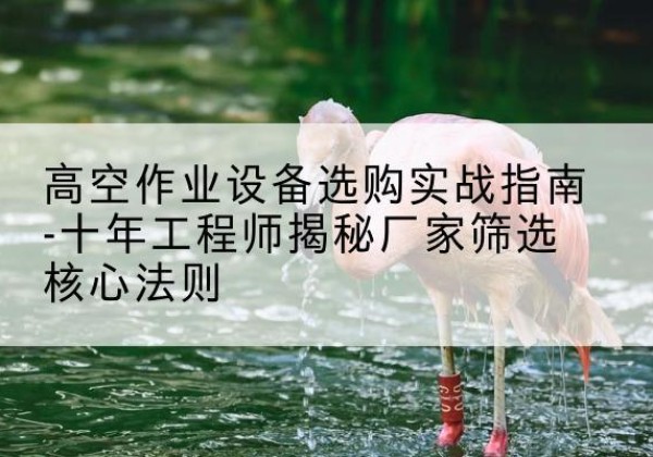 明溪剪叉式升降机厂家-高空作业设备选购实战指南-十年工程师揭秘厂家筛选核心法则